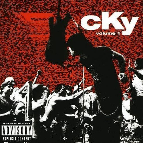 Disengage The Simulator (CKY Cover)