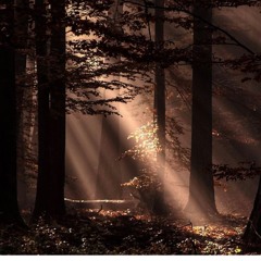 Other Guys x Kunxi ily