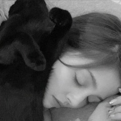 ياولفي وينك