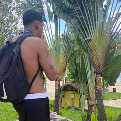 VH Da Sul- Firma Multimilionaria