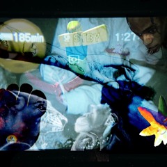 přísnej pes (prod. tenshixgod)