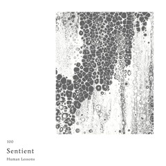 Human Lessons #100 - Sentient
