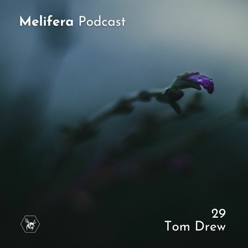 Melifera Podcast 29 | Tom Drew