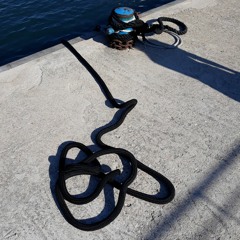 Starfish on the Lighthouse Stoop