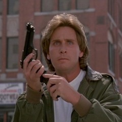 LOADED GUN