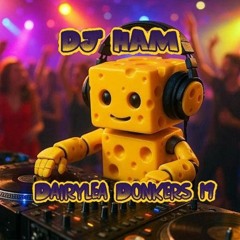 DJ HAM Dairylea Donkers 19