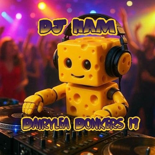 DJ HAM Dairylea Donkers 19