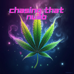 chasing that numb