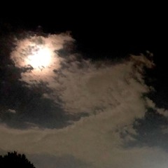 SlowlyGods R 4 (29.06.18)
