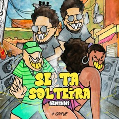 Se Tá Solteira (GEMINNI Remix)