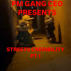 PM GANG CEO PRESENTS : STREETS CREDIBILITY PT.1