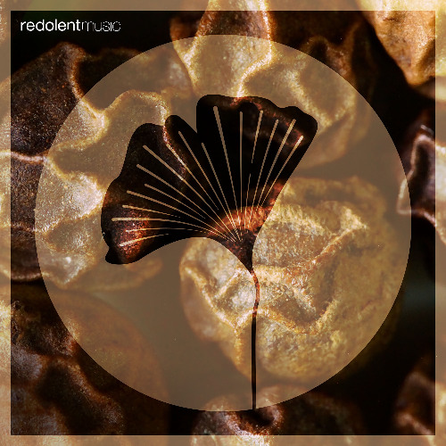 RDT095 La Santa, Craig Leo, Ivan Romero - Amohana - Olokun EP