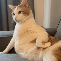 Booty Bốn Chữ Lắm - DTN