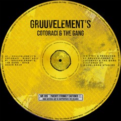 Gruuv Elements, Cotoraci - Right Now (Radio Edit) [WREC005]