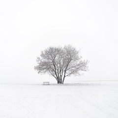 New Home (unmastered, raw mix)