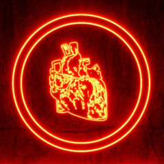 Peter Napoli :: Fascination 2025 Brooklyn