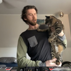 my cat hates this song - post malone // kc lights