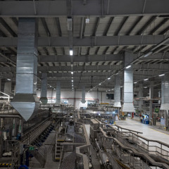 The Guilt of the Man