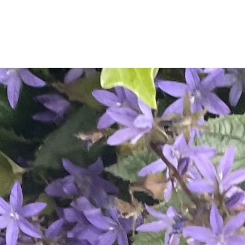 Conservations