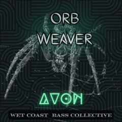 Orb Weaver