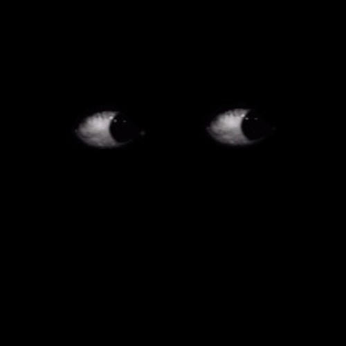 Hide