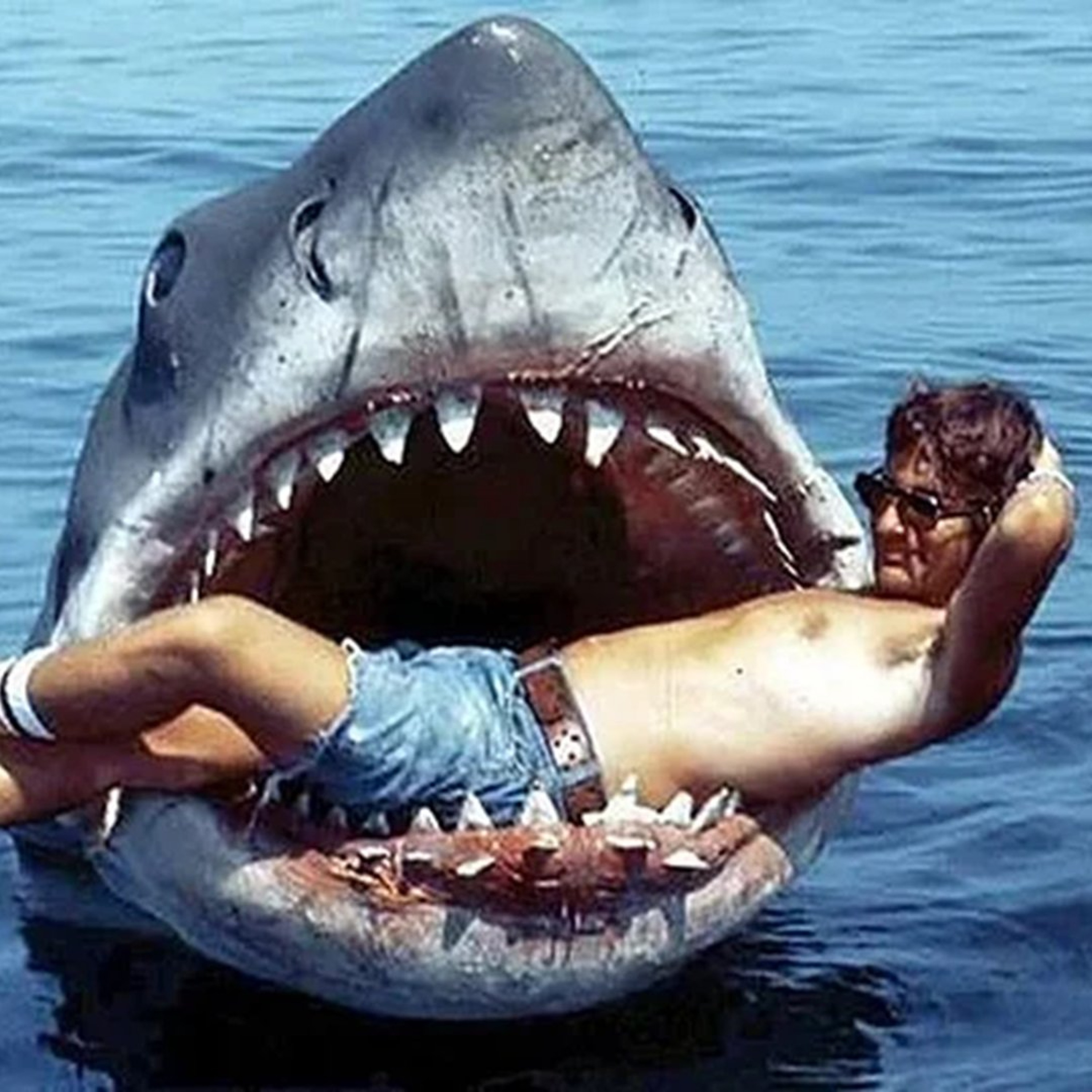 “Jaws” at 51 - We’re Gonna Need A Bigger Boat episode artwork