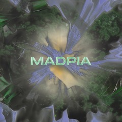 MADPIA's collection #1 (05/24/2024)