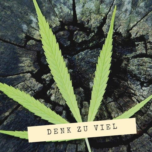 GReeeN - Denk Zu Viel (Fuxxn Remix)