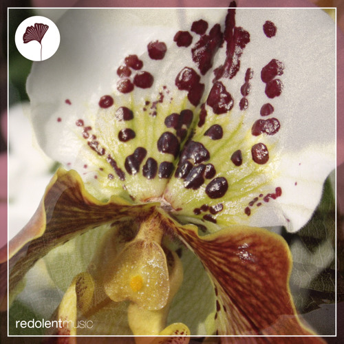 Play That Fact (Extended Mix)