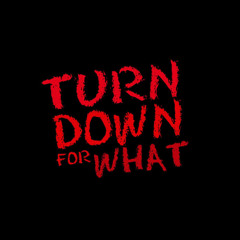 Turn Down For What x Macarena x Gasolina (Myke PR Mashup)