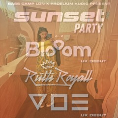 Mix Diary Entry 6 | Sunset Party Promo | Liquid Funk/Liquid DnB Mix