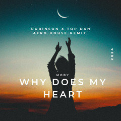 Moby - Why does my heart (Robinson X TopDan Afro House Remix)