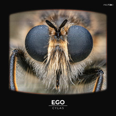 CYLAS-Ego (INSECTS002: Pay What You Want)