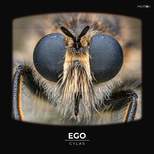 CYLAS-Ego (INSECTS002: Pay What You Want)