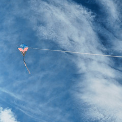 Kite Strings w/SRW