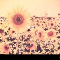 Mike Stern - Untitled Summer