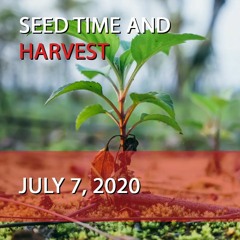07/07/2020 - Seed Time and Harvest