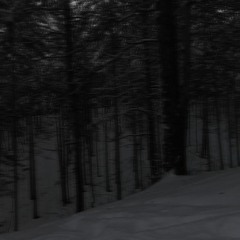 cold wind [demo]