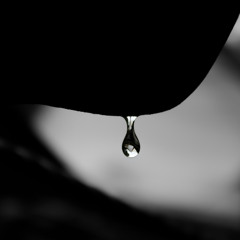 Tears That God Counts