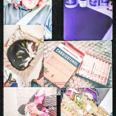 SHORELINE SHIIII0 +++ nicolinoM3