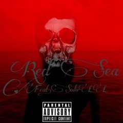 smoovex810-Red Sea(feat.SoloLL)