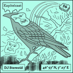 Kapitelcast 056 - DJ Stereoid