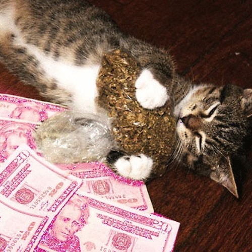 Swampkill x Akoge - Gotta Get The Guap [HOSTED BY @ITSDJTK x @4EVER8BIT]