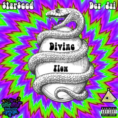 Divine Flow  ~ HIGH VIBE TRIBE