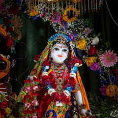 Nandu - Janmastami Eve Night Shift - 8.25.24