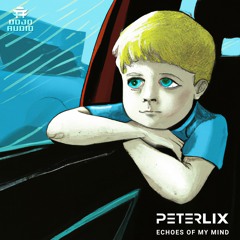 Peter Lix 'Echoes Of My Mind' [Dojo Audio]