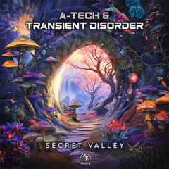 A-Tech & Transient Disorder - Secret Valley