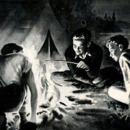The Cottonwood Flats