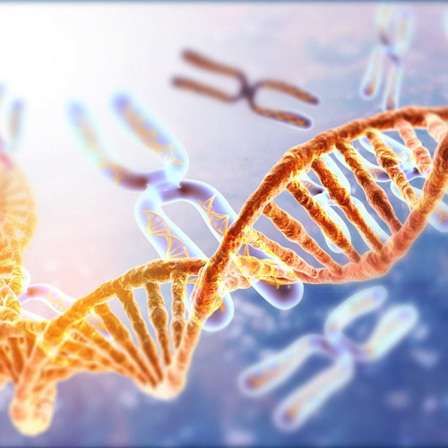 HARDSTYLE ADN-SET MULTI / D-TRACKERZ