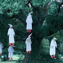 What are you gonna do by? Caridisolo